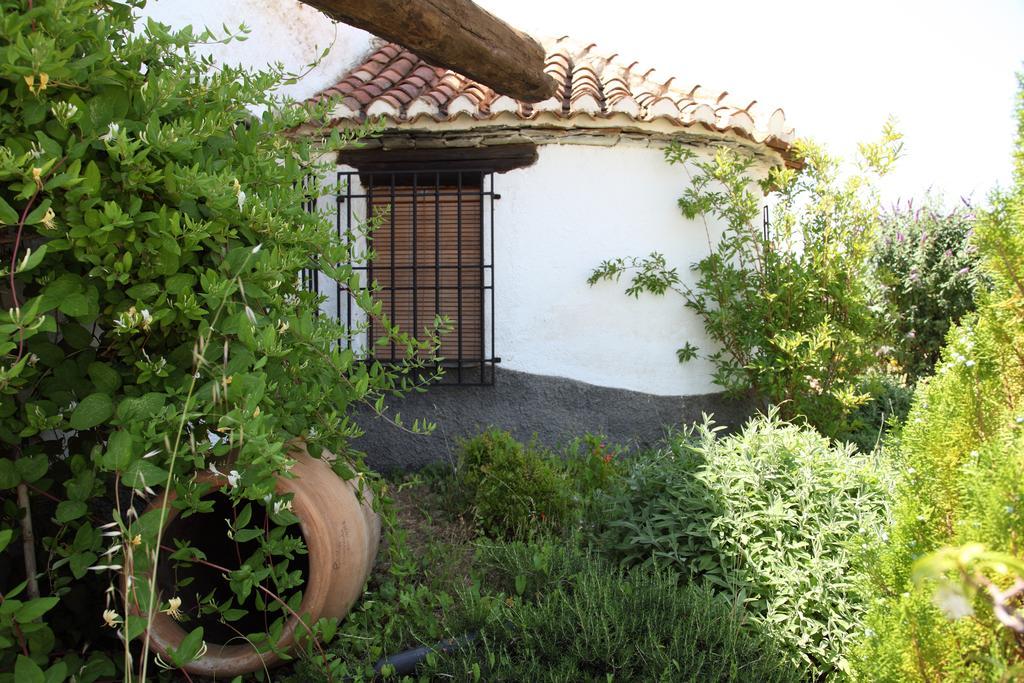 Ferienwohnung Cuevas Del Zenete Alcudia de Guadix Exterior foto