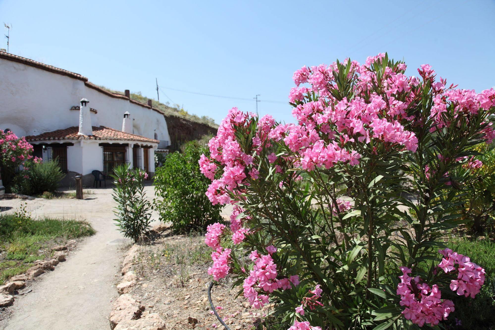 Ferienwohnung Cuevas Del Zenete Alcudia de Guadix Exterior foto
